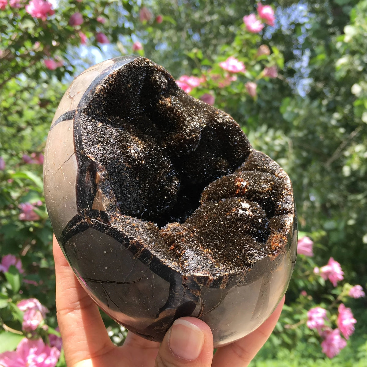 Vexaroa dark seven-layer crystal egg mineral specimen - view 9