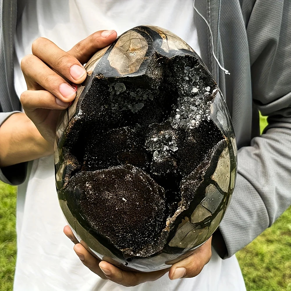 AA+ Dragon Seven-Layer Crystal Egg - Black and brown quartz containing mixed minerals, with a rough textured surface