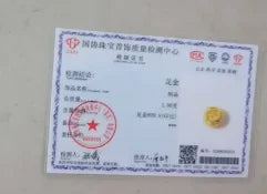 A Chinese official certificate or identification card with red seals and a small gold coin placed on top, photographed against a light beige background.