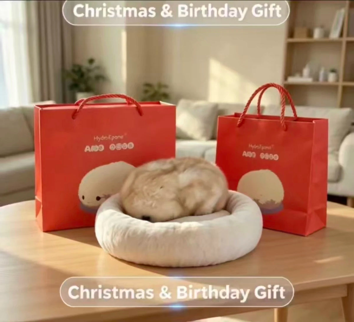 A fluffy cream-colored cat rests inside a round white pet bed on a wooden table, with two red gift bags behind it and overlaid text reading 'Christmas & Birthday Gift'.